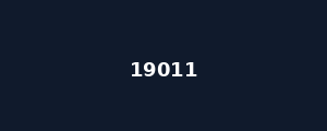 19011
